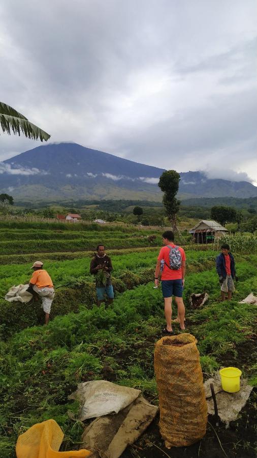 Family Rinjani Bungalow Sajang Kültér fotó