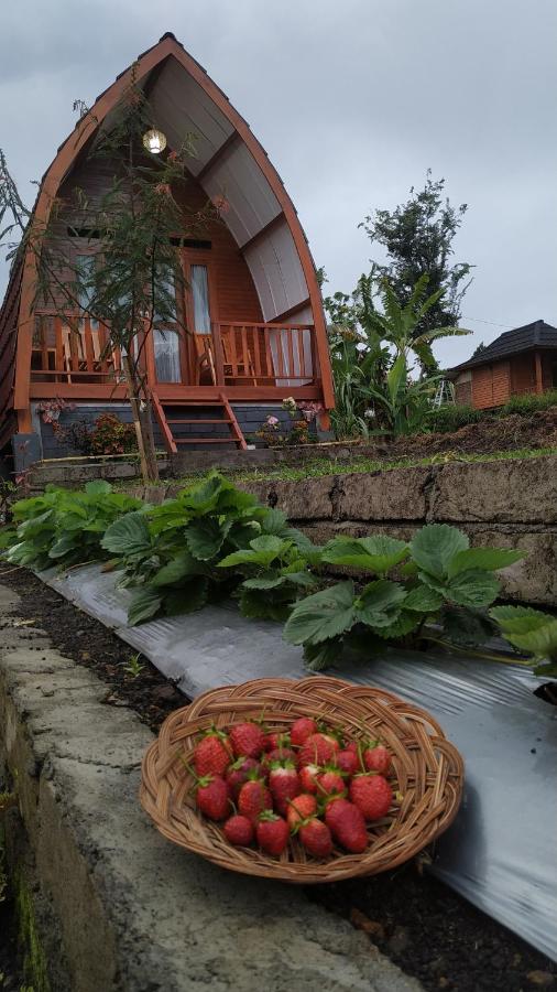 Family Rinjani Bungalow Sajang Kültér fotó