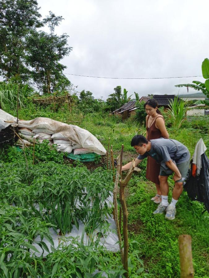 Family Rinjani Bungalow Sajang Kültér fotó