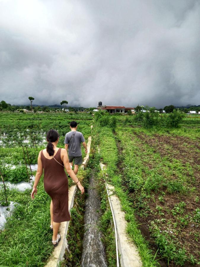 Family Rinjani Bungalow Sajang Kültér fotó