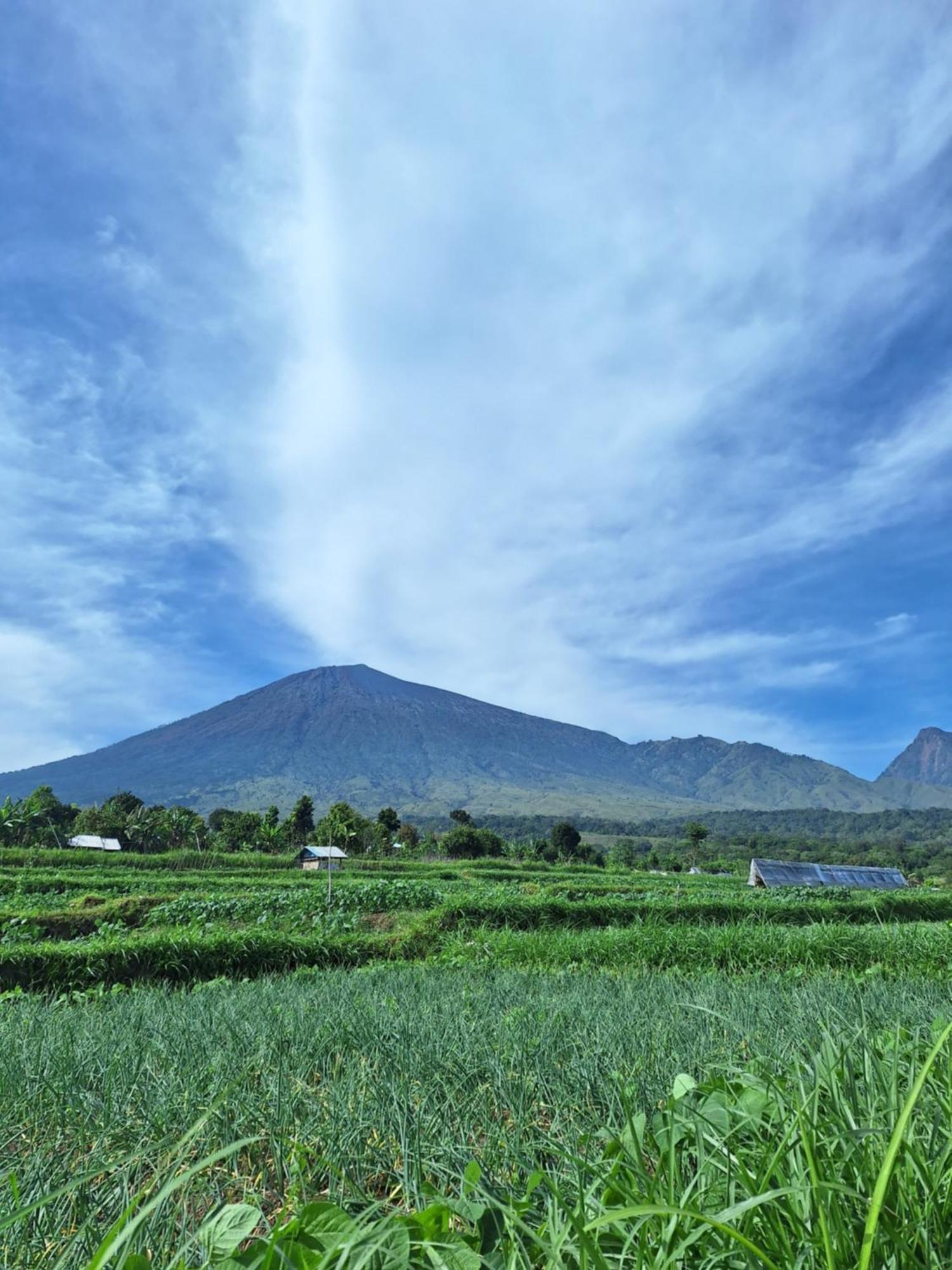 Family Rinjani Bungalow Sajang Kültér fotó