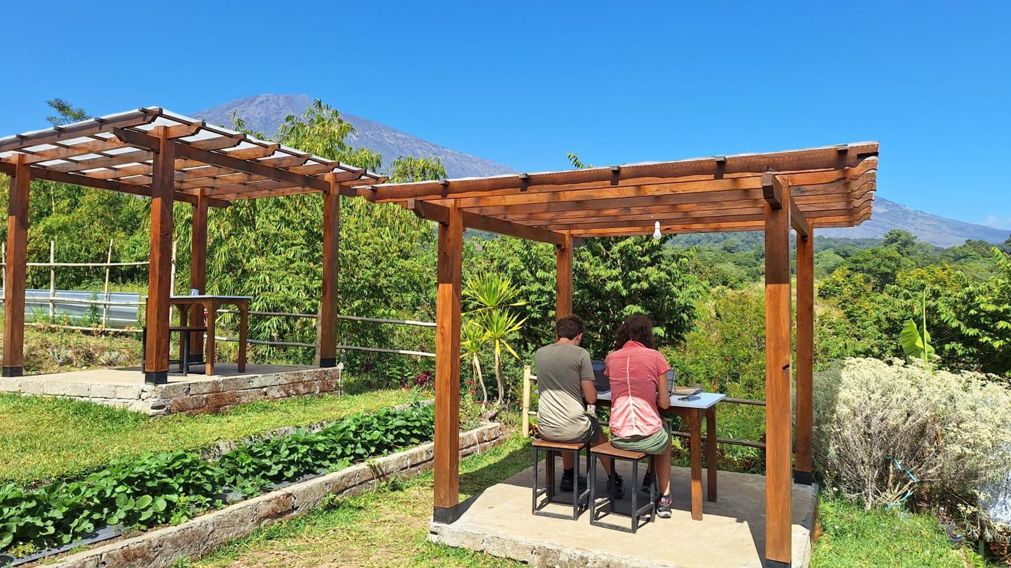 Family Rinjani Bungalow Sajang Kültér fotó